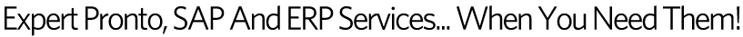 Expert Pronto, SAP and ERP Services... When You Need Them!